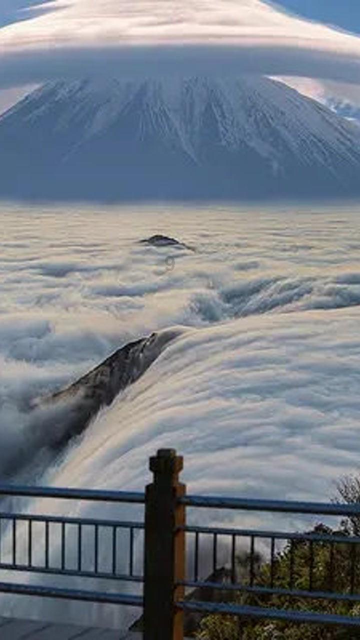 逃离阴森的岛屿